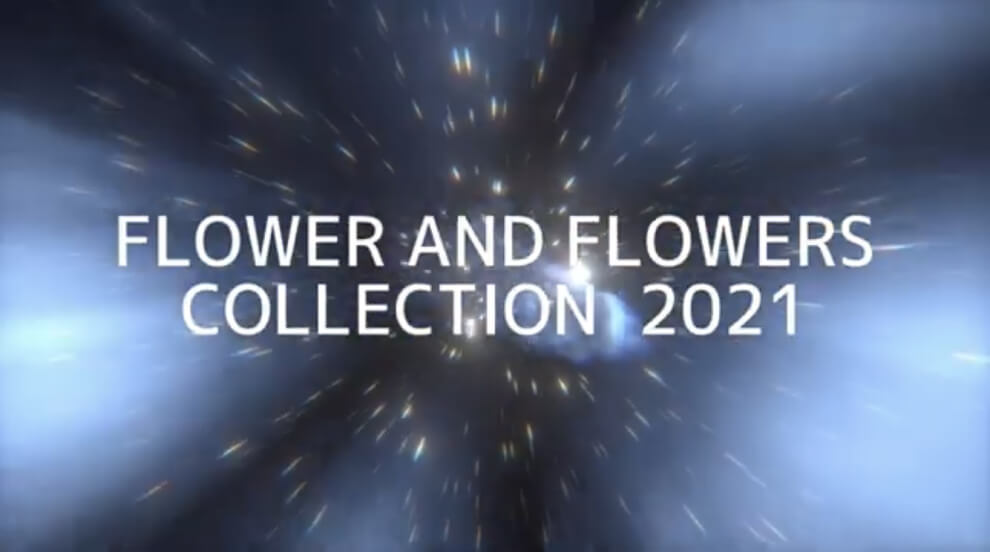 動画：FLOWER AND FLOWERS　Tシャツコレクション2021